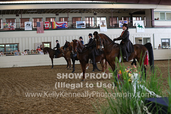 CA_Springfest19_FriPM_0753
