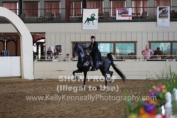 CA_Springfest19_FriPM_0454