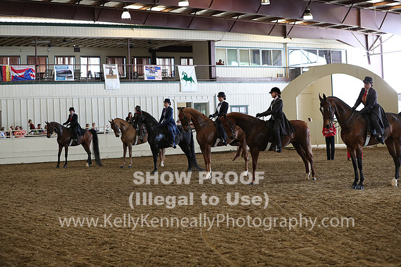 CA_Springfest19_FriPM_0754