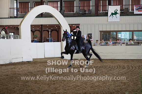 CA_Springfest19_FriPM_0455