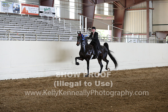 CA_Springfest19_FriPM_0458