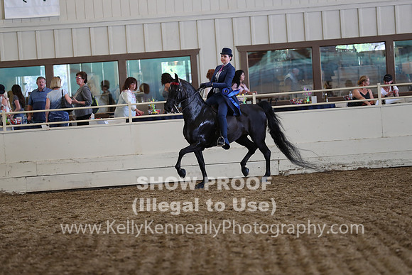 CA_Springfest19_FriPM_0760