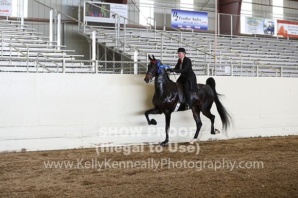 CA_Springfest19_FriPM_0460