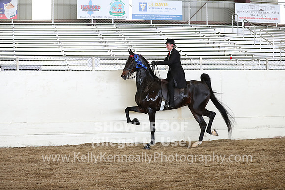 CA_Springfest19_FriPM_0463
