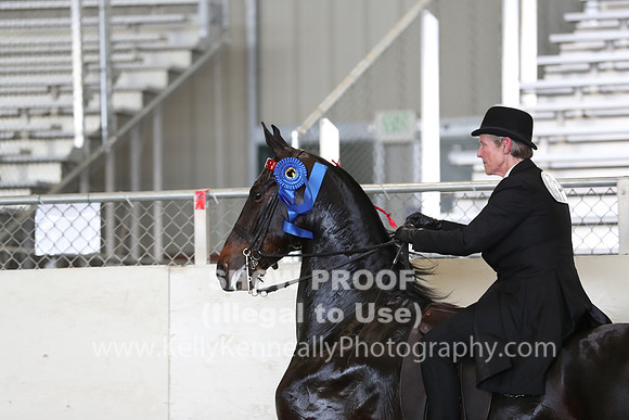 CA_Springfest19_FriPM_0466