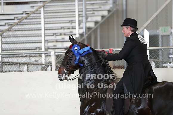CA_Springfest19_FriPM_0467