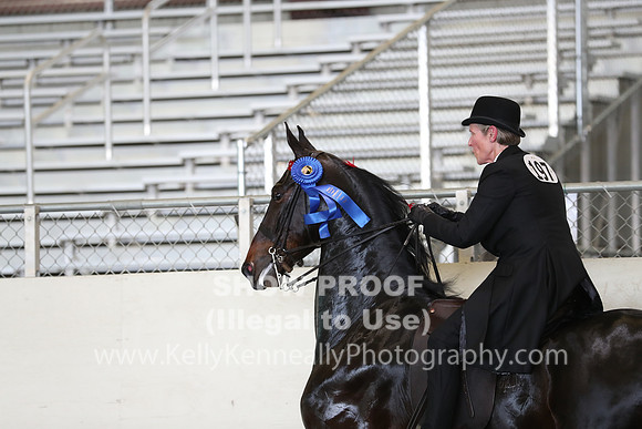 CA_Springfest19_FriPM_0468