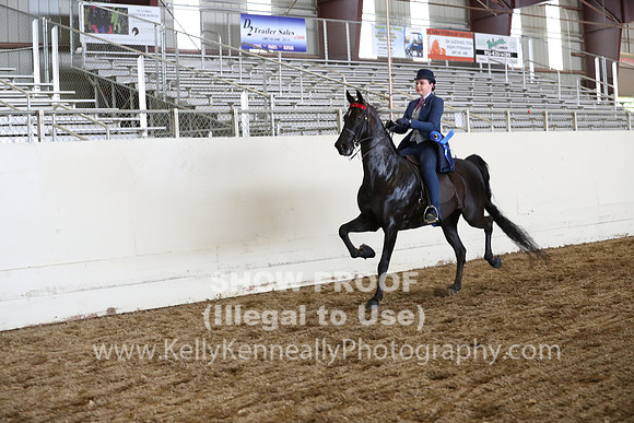 CA_Springfest19_FriPM_0770