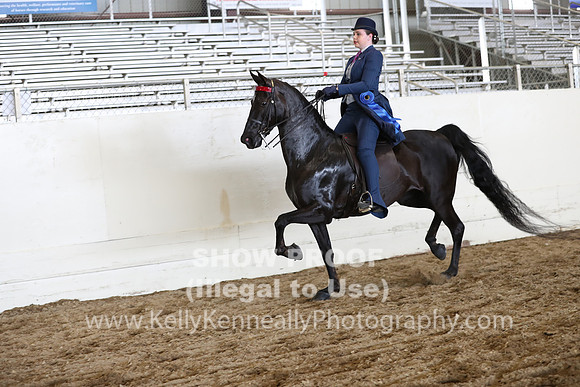 CA_Springfest19_FriPM_0772