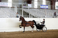 CA_Springfest19_SatAM_0951