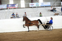 CA_Springfest19_SatAM_0949