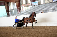 CA_Springfest19_SatAM_0962