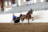 CA_Springfest19_SatAM_0963