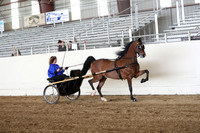 CA_Springfest19_SatAM_0964