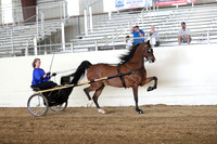 CA_Springfest19_SatAM_0965