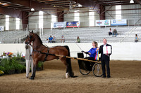 CA_Springfest19_SatAM_0966