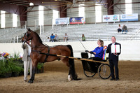 CA_Springfest19_SatAM_0967