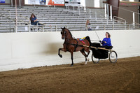 CA_Springfest19_SatAM_0971