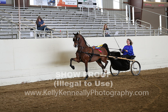 CA_Springfest19_SatAM_0971