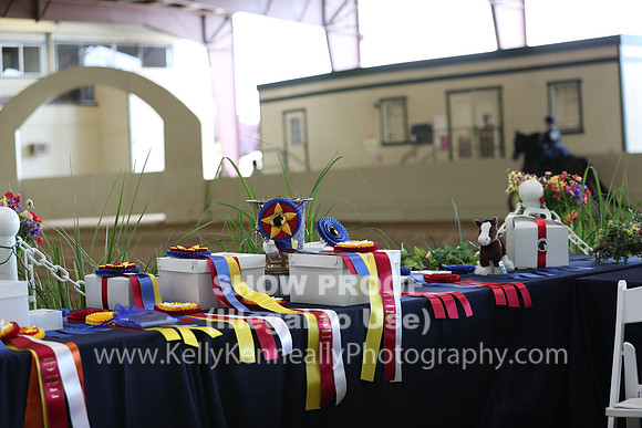 CA_Springfest19_SatAM_0985