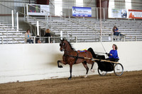 CA_Springfest19_SatAM_0973