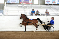 CA_Springfest19_SatAM_0976