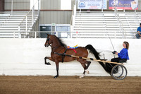 CA_Springfest19_SatAM_0977