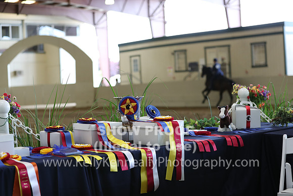 CA_Springfest19_SatAM_0986