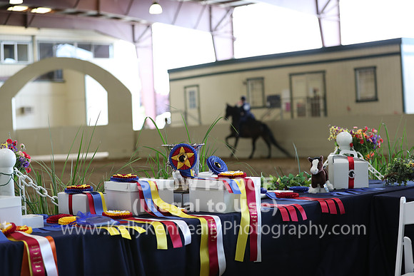 CA_Springfest19_SatAM_0988