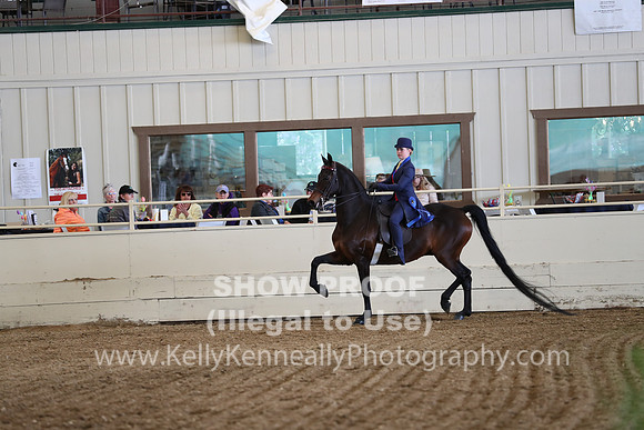 CA_Springfest19_SatAM_1000
