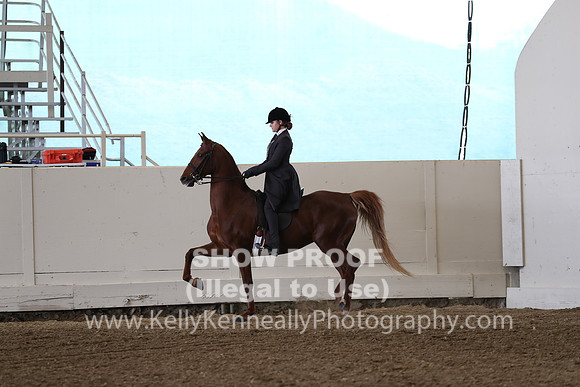 CA_Springfest19_SatAM_1014