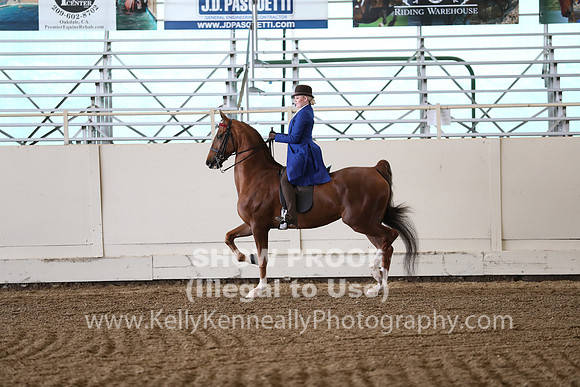 CA_Springfest19_SatAM_1017