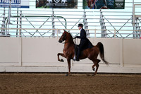 Class 49 ASB Denver Junior Park Pleasure Stake