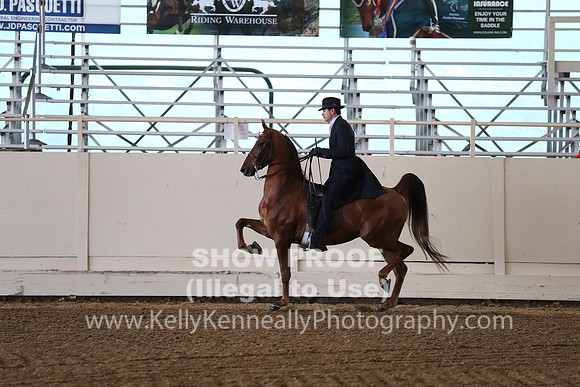 CA_Springfest19_SatAM_0883