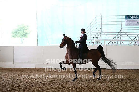 CA_Springfest19_SatAM_0891