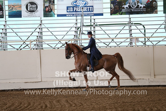 CA_Springfest19_SatAM_0893