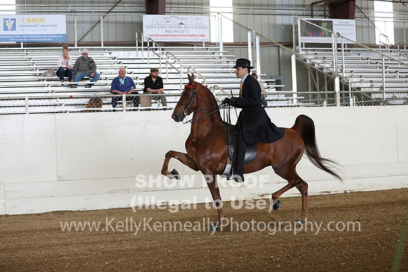 CA_Springfest19_SatAM_0894