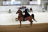 CA_Springfest19_SatAM_0895