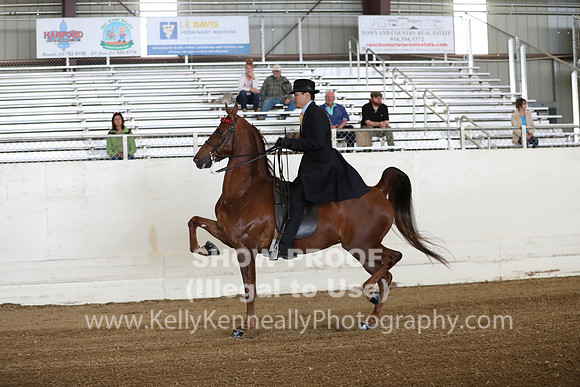 CA_Springfest19_SatAM_0895