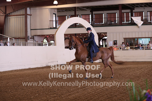 CA_Springfest19_SatAM_0899