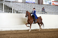 Class 55 ASB Three Gaited Country Pleasure Junior Exhibitor