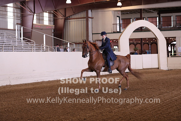 CA_Springfest19_SatAM_0900