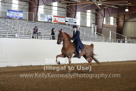 CA_Springfest19_SatAM_0901