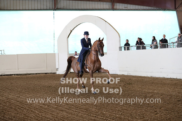CA_Springfest19_SatAM_0903