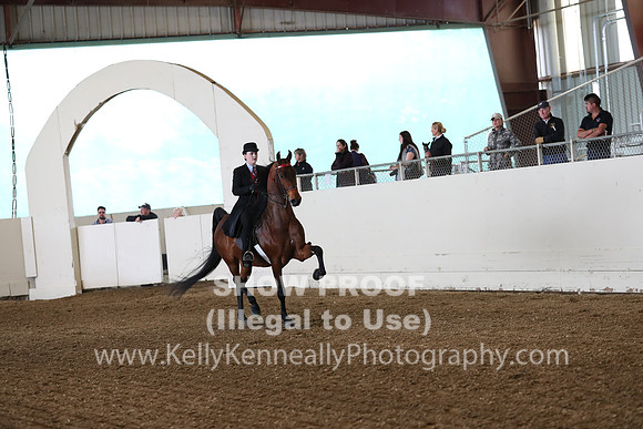 CA_Springfest19_SatAM_0907
