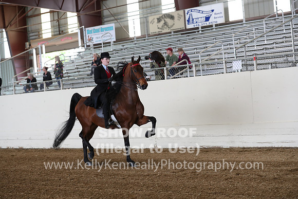 CA_Springfest19_SatAM_0910