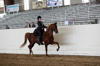 CA_Springfest19_SatAM_1046