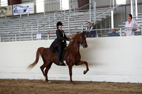 CA_Springfest19_SatAM_1047
