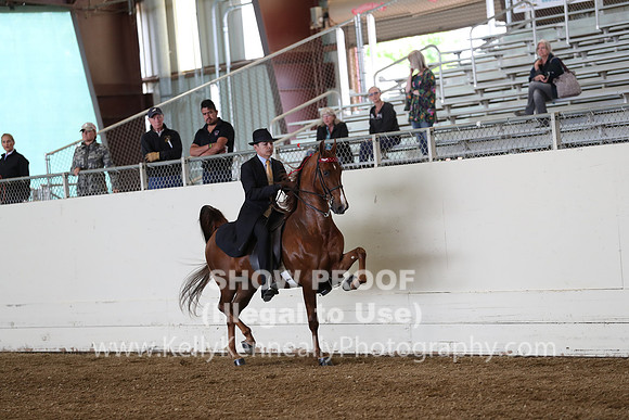 CA_Springfest19_SatAM_0915