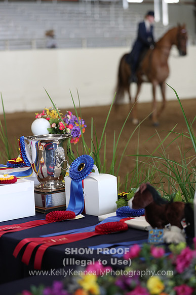 CA_Springfest19_SatAM_0921